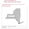 Urban Indian Organization COVID-19 Surveillance Report, New York Service Area